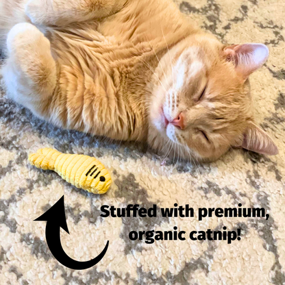 HuggleKats® Wee Chippie and His Acorn Cat Toy Set