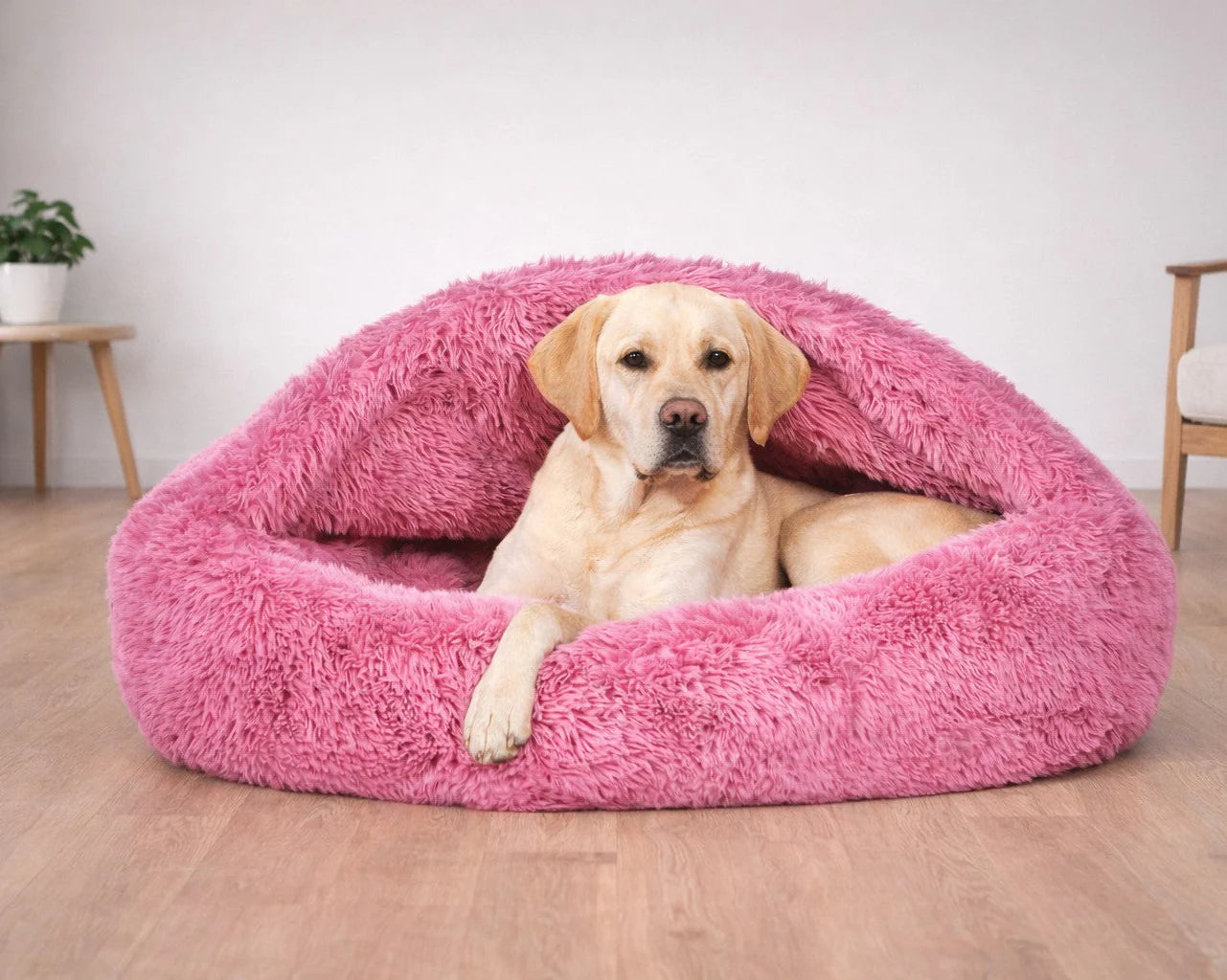 Canopy Cozy Shag Blondie Bowsers