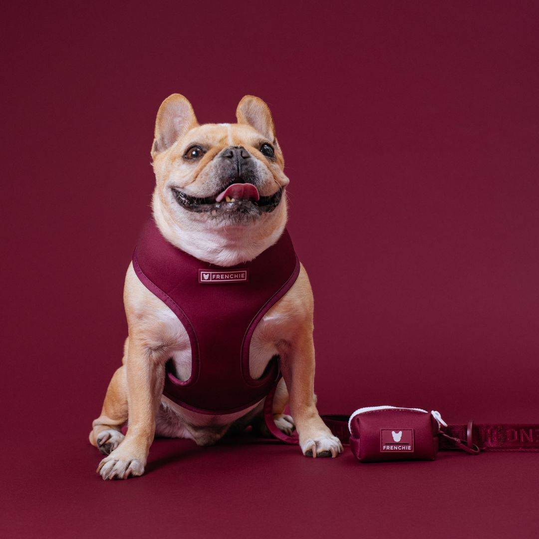 Frenchie Duo Reversible Harness - Solid Ruby