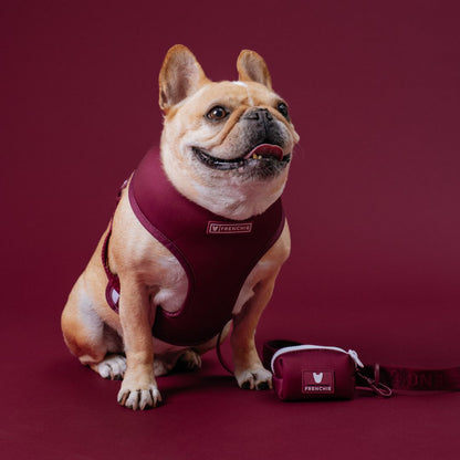 Frenchie Duo Reversible Harness - Solid Ruby