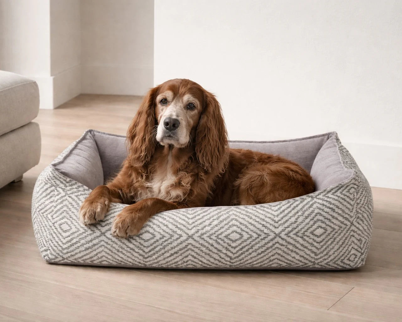 Oslo Ortho Bed Bowsers