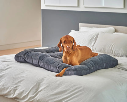 Dream Futon Diamond Bowsers