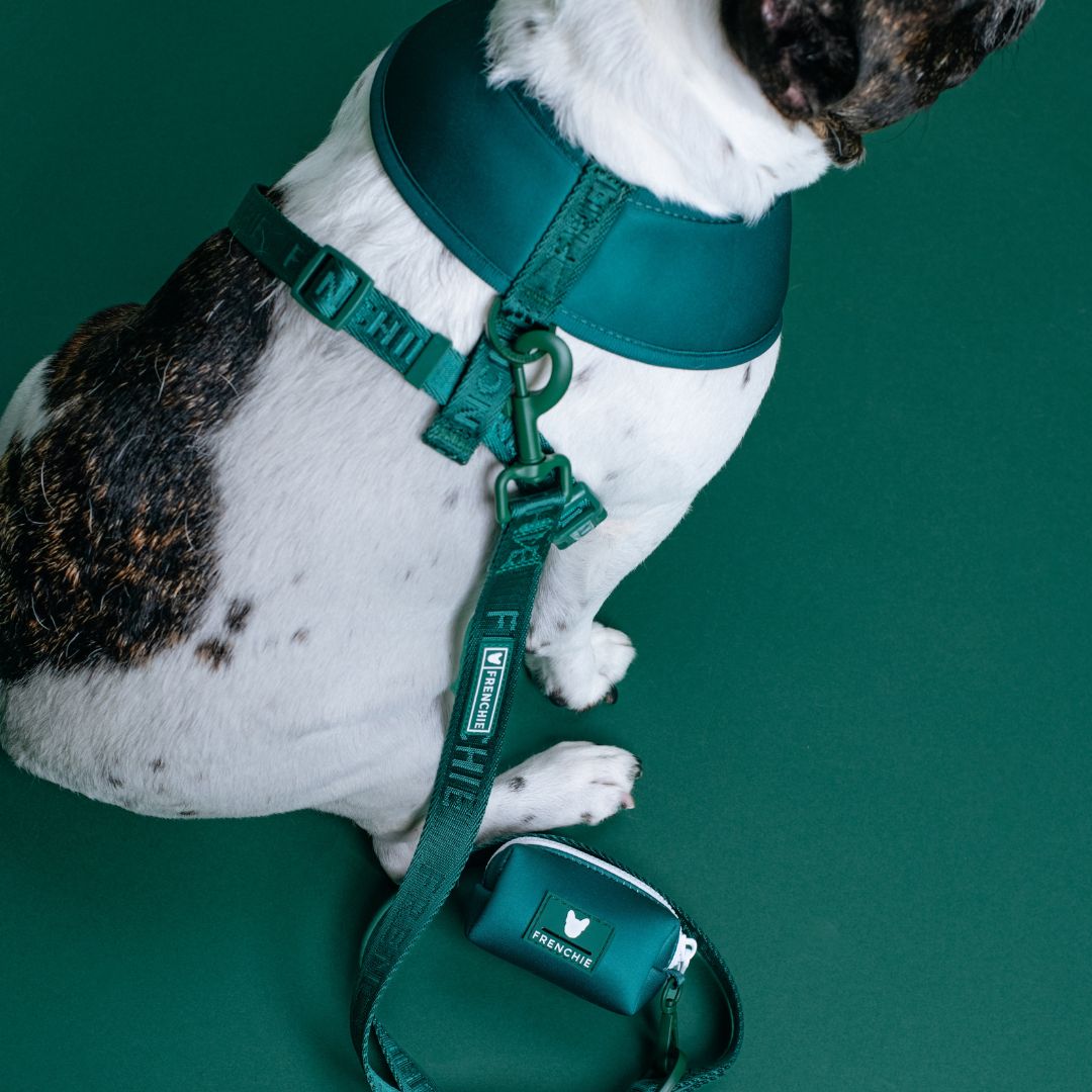 Frenchie Poo Bag Holder - Solid Emerald City