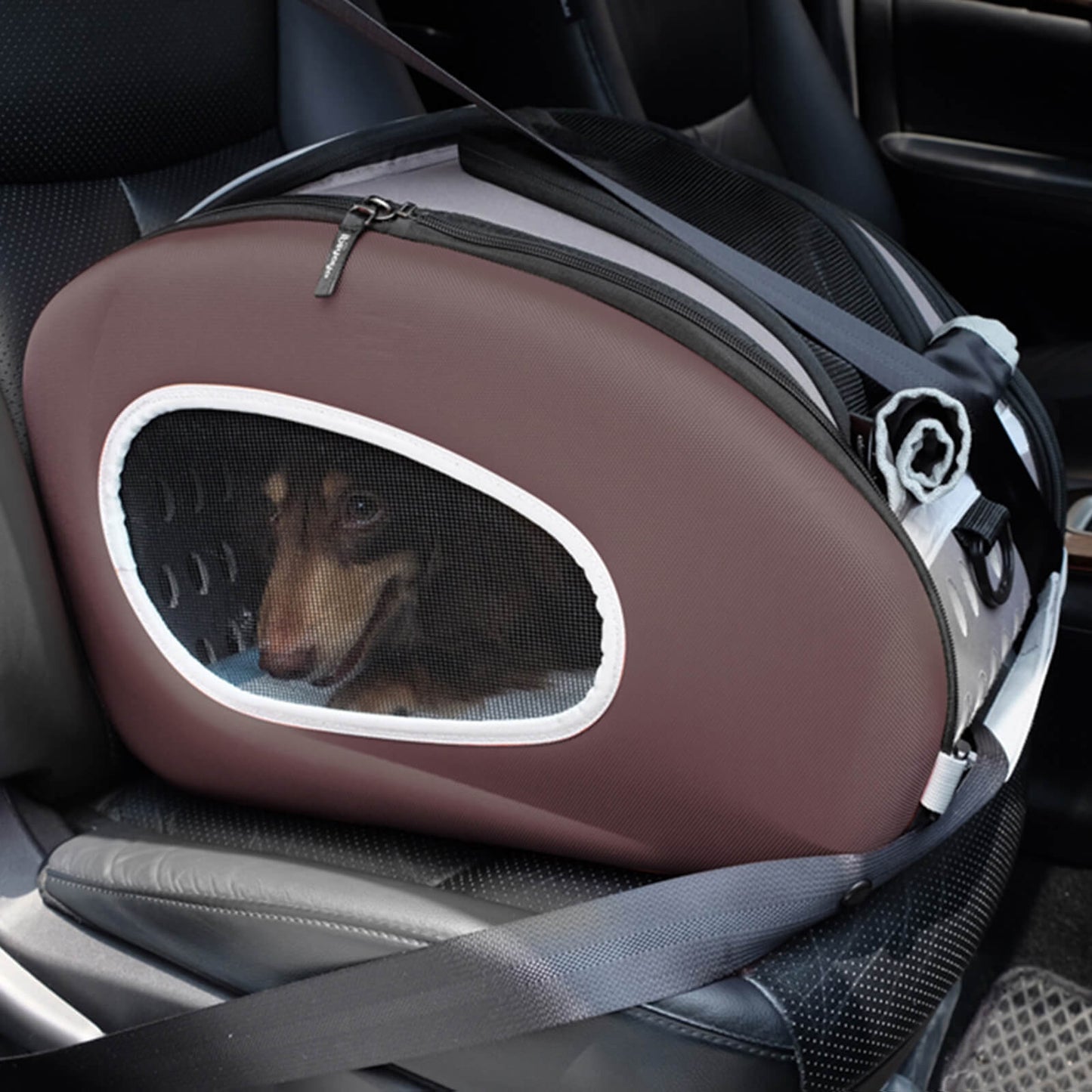 5-in-1 Combo EVA Pet Carrier Stroller Backpack