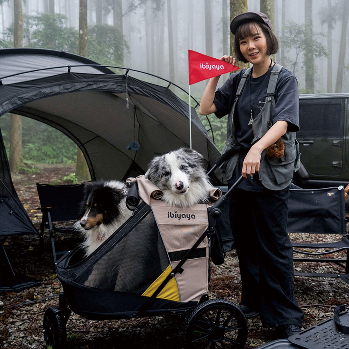 Minika 3-in-1 Pet Stroller System Foldable Dog Bicycle Trailer & Soft Crate Kennel 