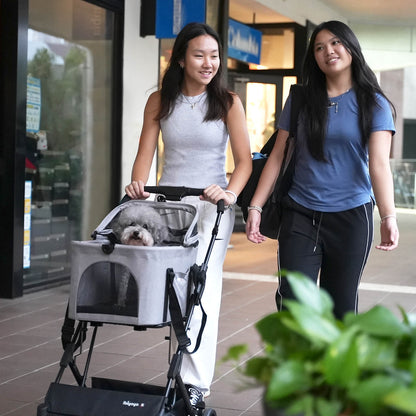 ibiyaya® Essential – Travois Tri-fold Pet Travel System XL, Pet Stroller with Detachable Carrier