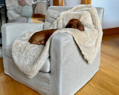 Blanket Topper Bowsers