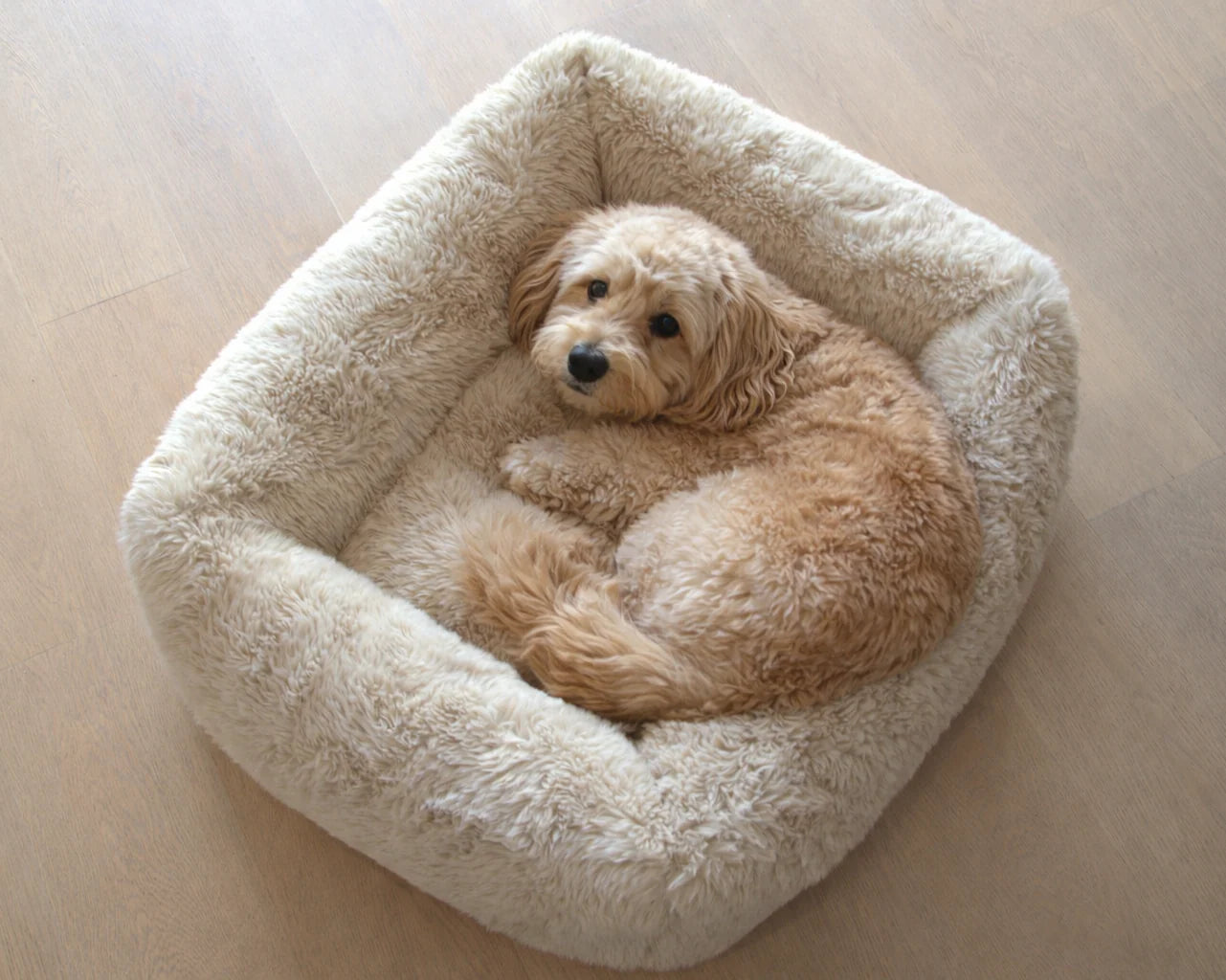 Rectangle Bed Franklin Bed Bowsers