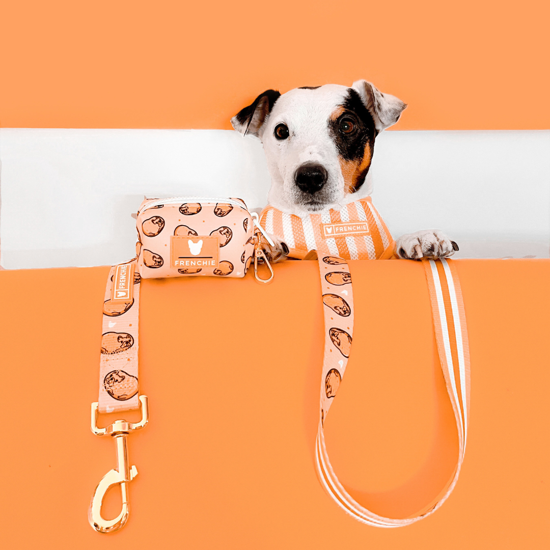 Frenchie Duo Reversible Harness - French Potato