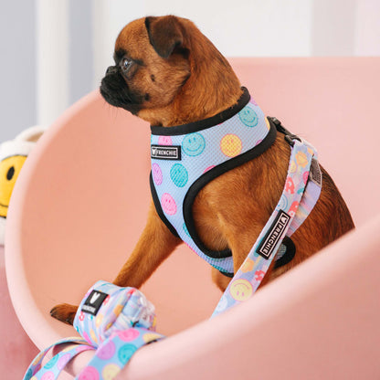 Frenchie Duo Reversible Harness - Good Vibes