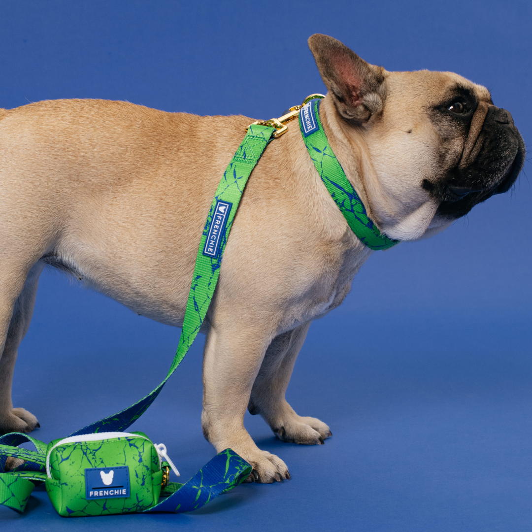 Frenchie Poo Bag Holder - Green Marble