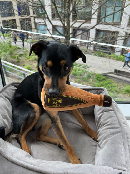 1996 TEQUILA PLUSH DOG TOY