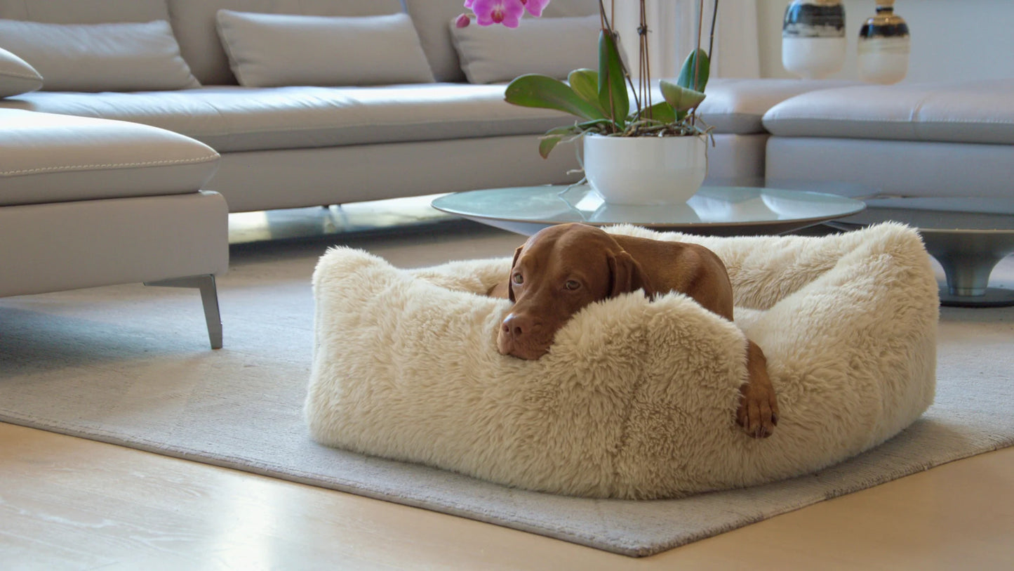 Rectangle Bed Franklin Bed Bowsers