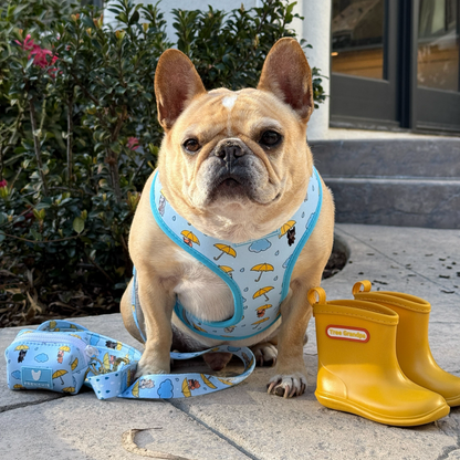 Frenchie Duo Reversible Harness - It's Raining Frenchies