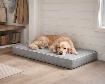 Isotonic Memory Foam Mattress Bowsers