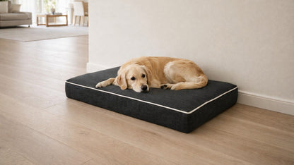 Isotonic Memory Foam Mattress Bowsers