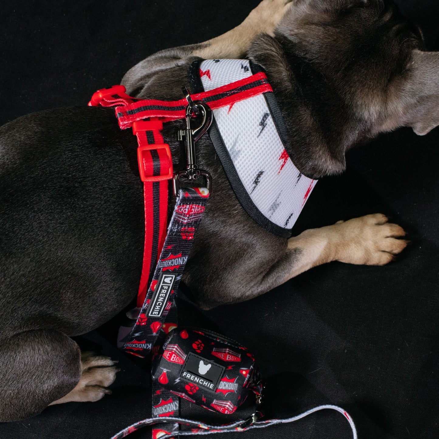 Frenchie Duo Reversible Harness - Knockout