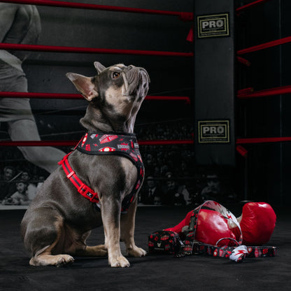 Frenchie Duo Reversible Harness - Knockout