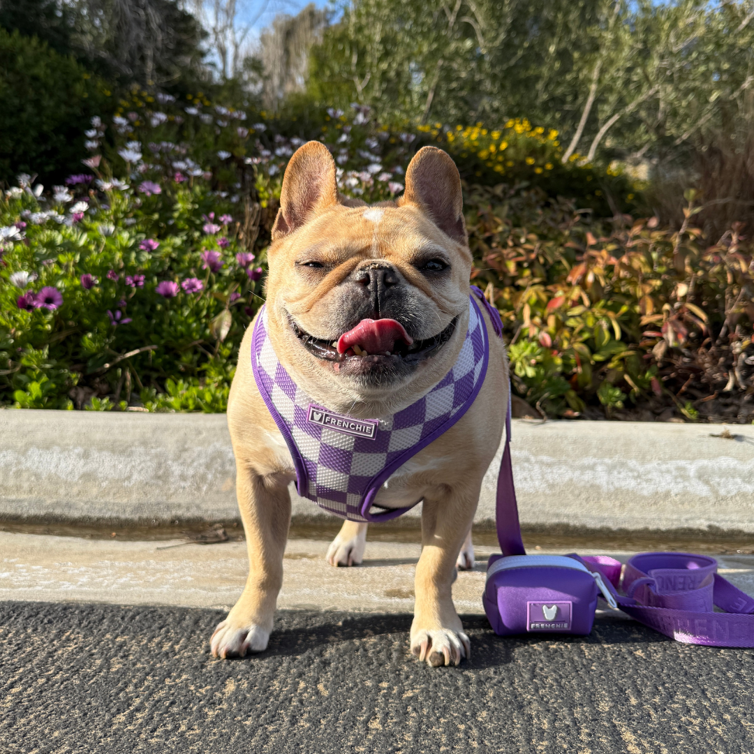 Frenchie Poo Bag Holder - Solid Purple