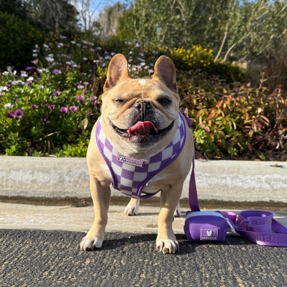Frenchie Poo Bag Holder - Solid Purple