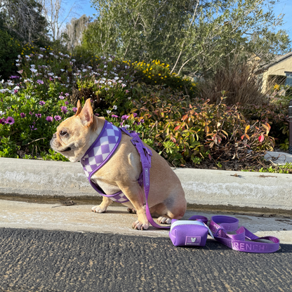Frenchie Poo Bag Holder - Solid Purple