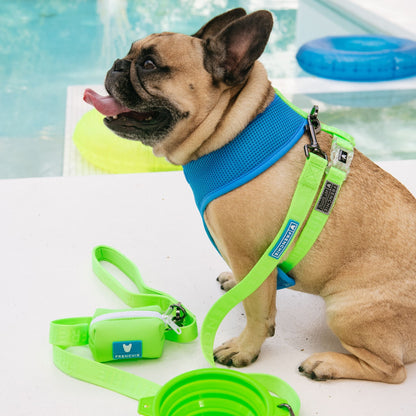 Frenchie Comfort Leash - Neon Green