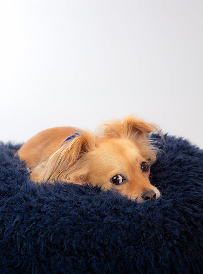 POD DOG BED
