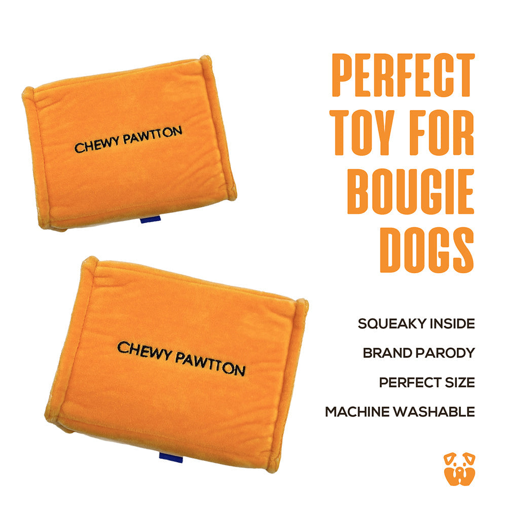 CHEWY PAWTTON PLUSH DOG TOY