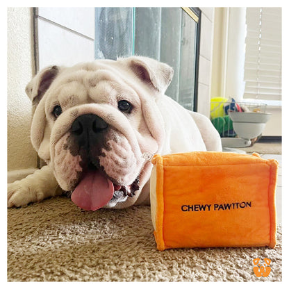 CHEWY PAWTTON PLUSH DOG TOY
