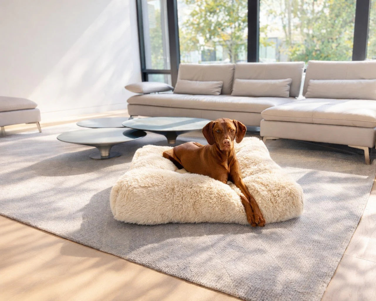 Rectangle Piazza Bed Bowsers