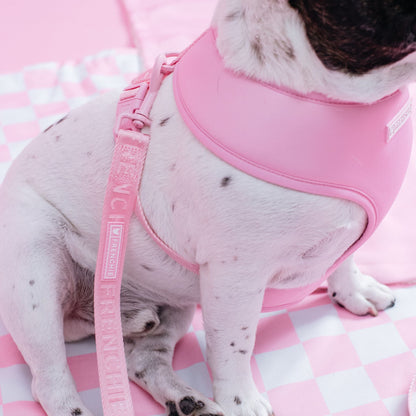 Frenchie Duo Reversible Harness - Solid Pink Bubblegum