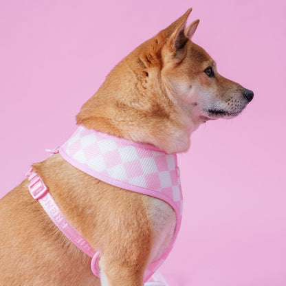 Frenchie Duo Reversible Harness - Solid Pink Bubblegum