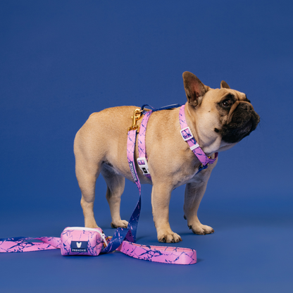 Frenchie Comfort Leash - Pink Marble