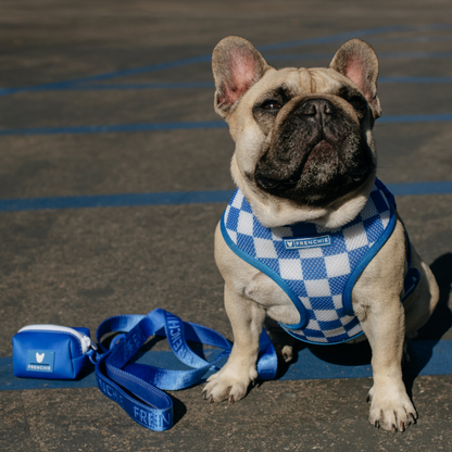 Frenchie Duo Reversible Harness - Solid Royal Blue