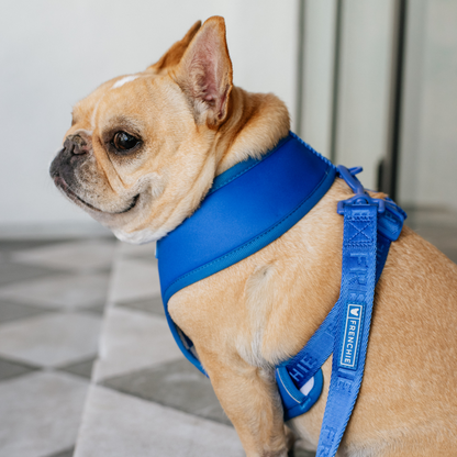 Frenchie Duo Reversible Harness - Solid Royal Blue