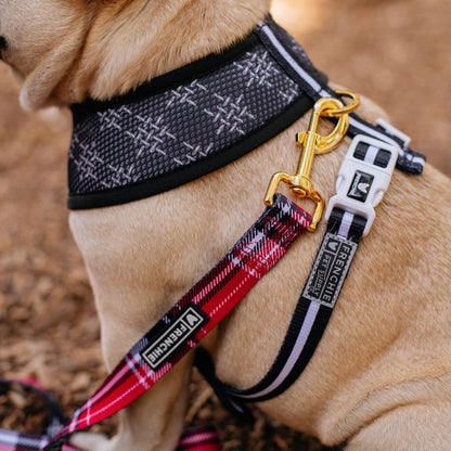 Frenchie Duo Reversible Harness - Scarlet Plaid