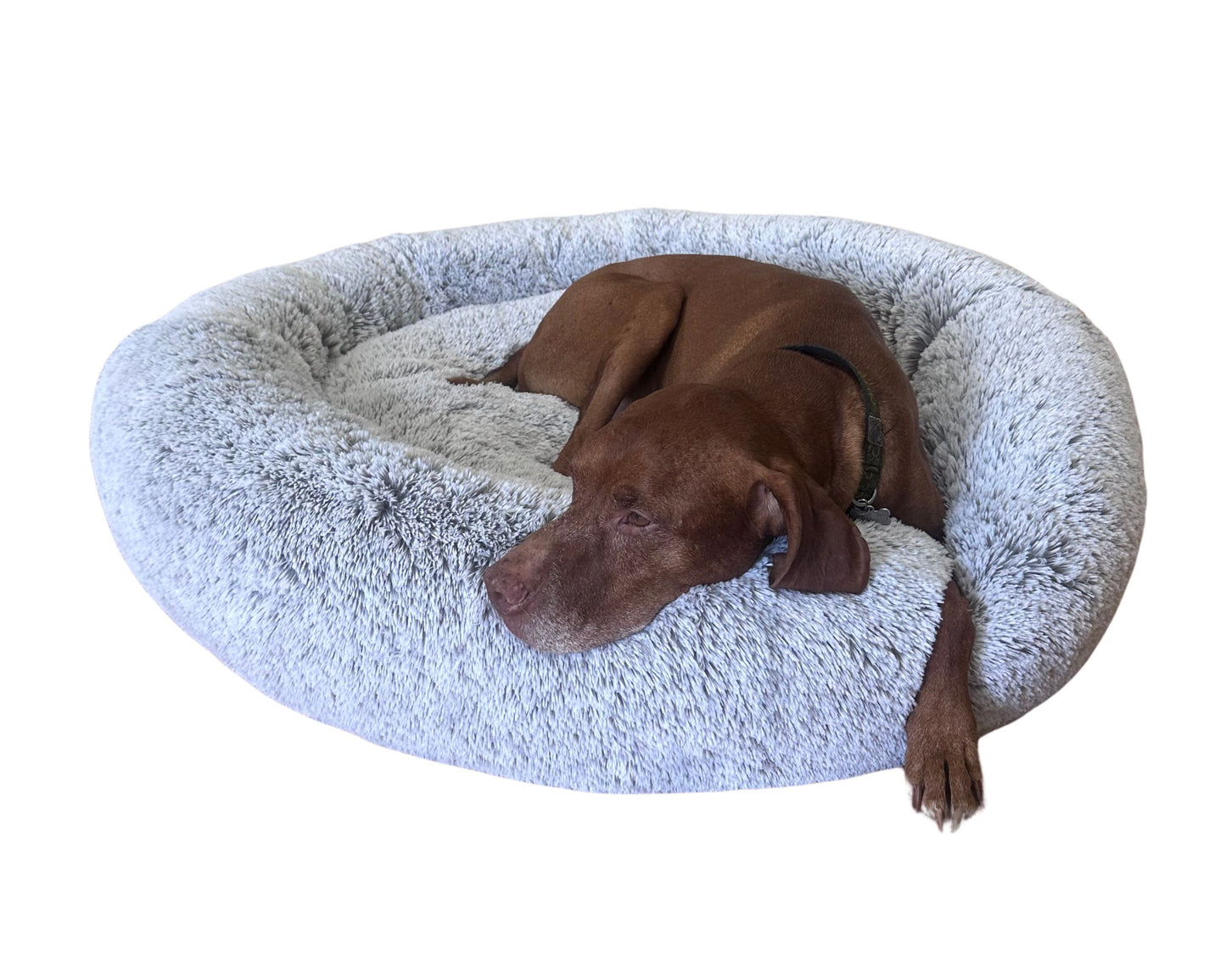 Snuggle Bed