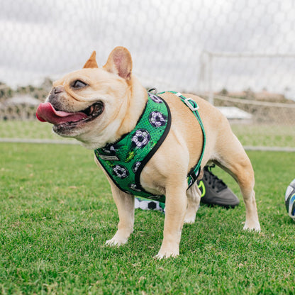 Frenchie Duo Reversible Harness - Soccer