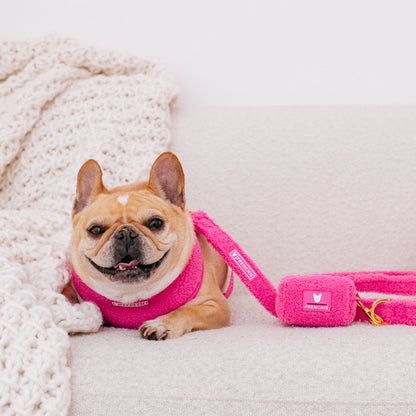 Frenchie Comfort Leash - Teddy Hot Pink