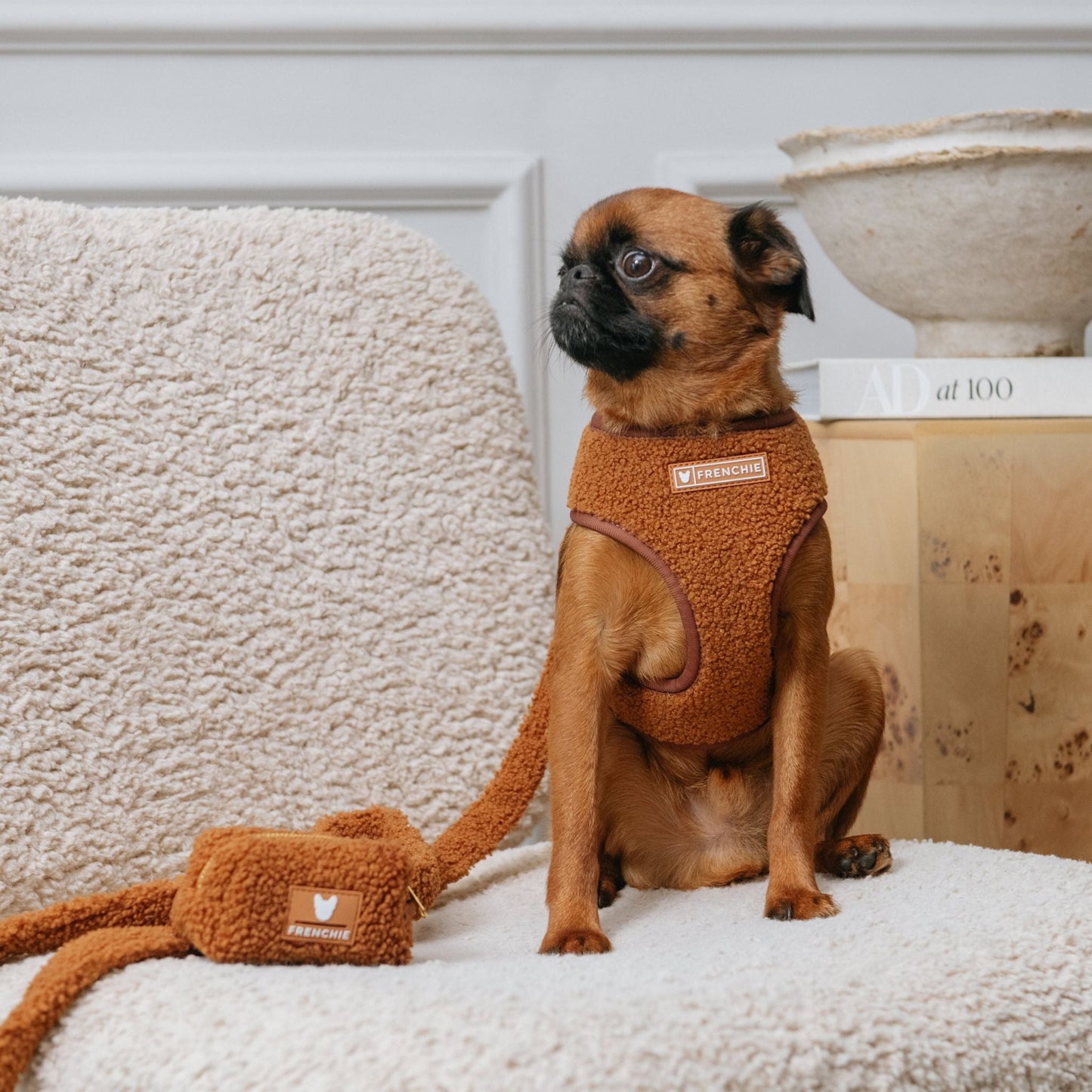 Frenchie Comfort Leash - Teddy Brown