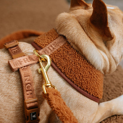 Frenchie Duo Reversible Harness - Teddy Brown