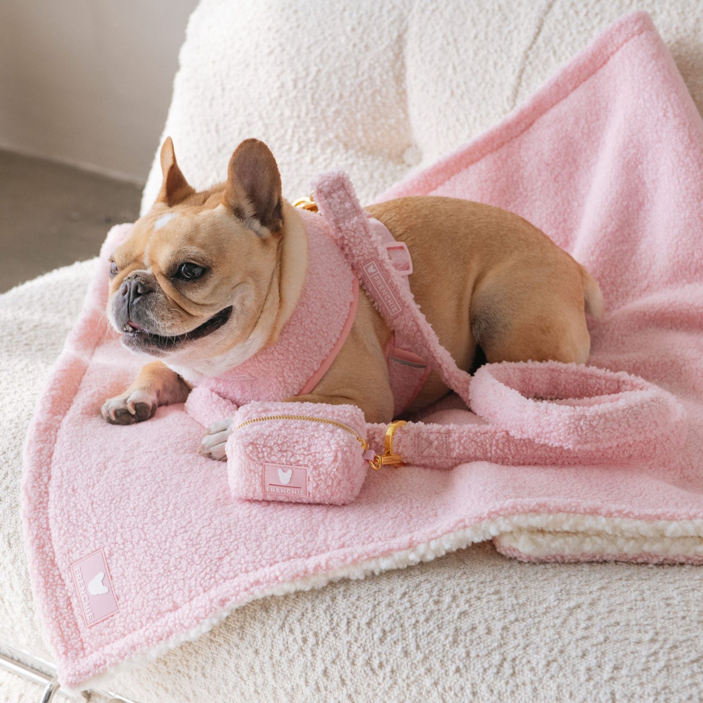 Frenchie Comfort Leash - Teddy Pink