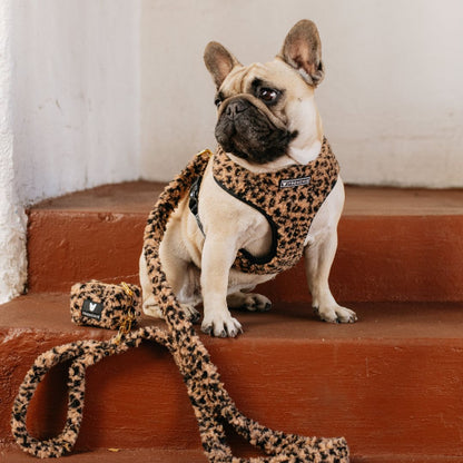 Frenchie Duo Reversible Harness - Teddy Leopard