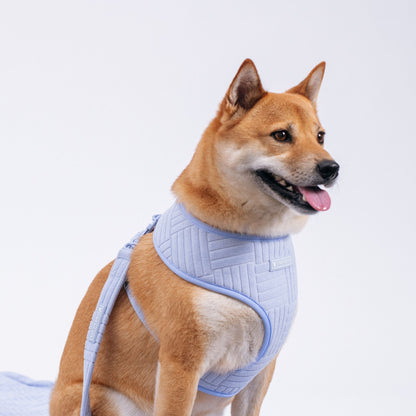 Frenchie Duo Reversible Harness - Terry (Blue)