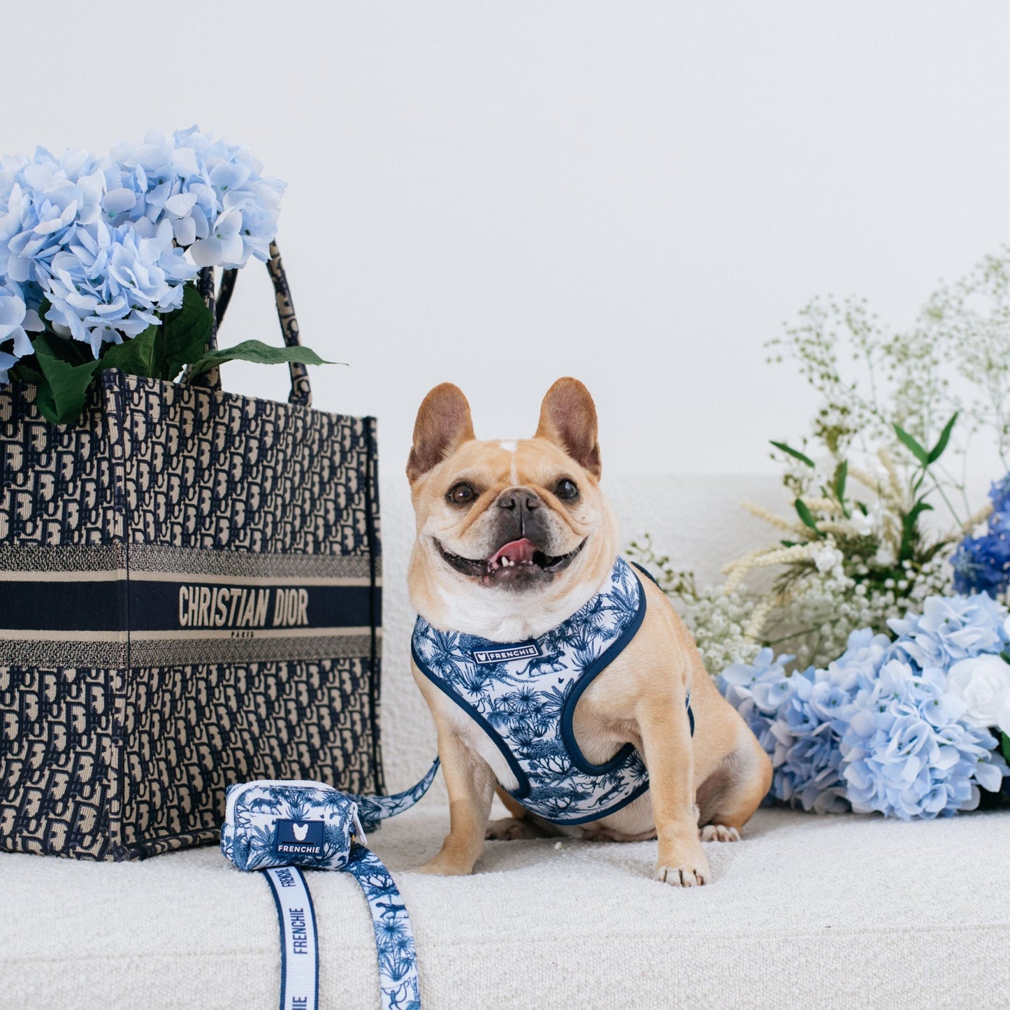 Frenchie Duo Reversible Harness - Toile (Blue)