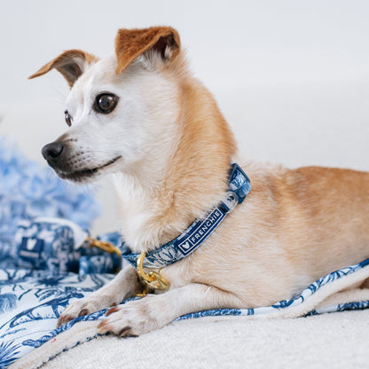 Frenchie Comfort Collar - Toile (Blue)
