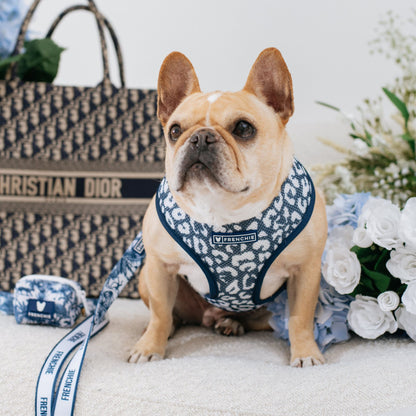 Frenchie Duo Reversible Harness - Toile (Blue)