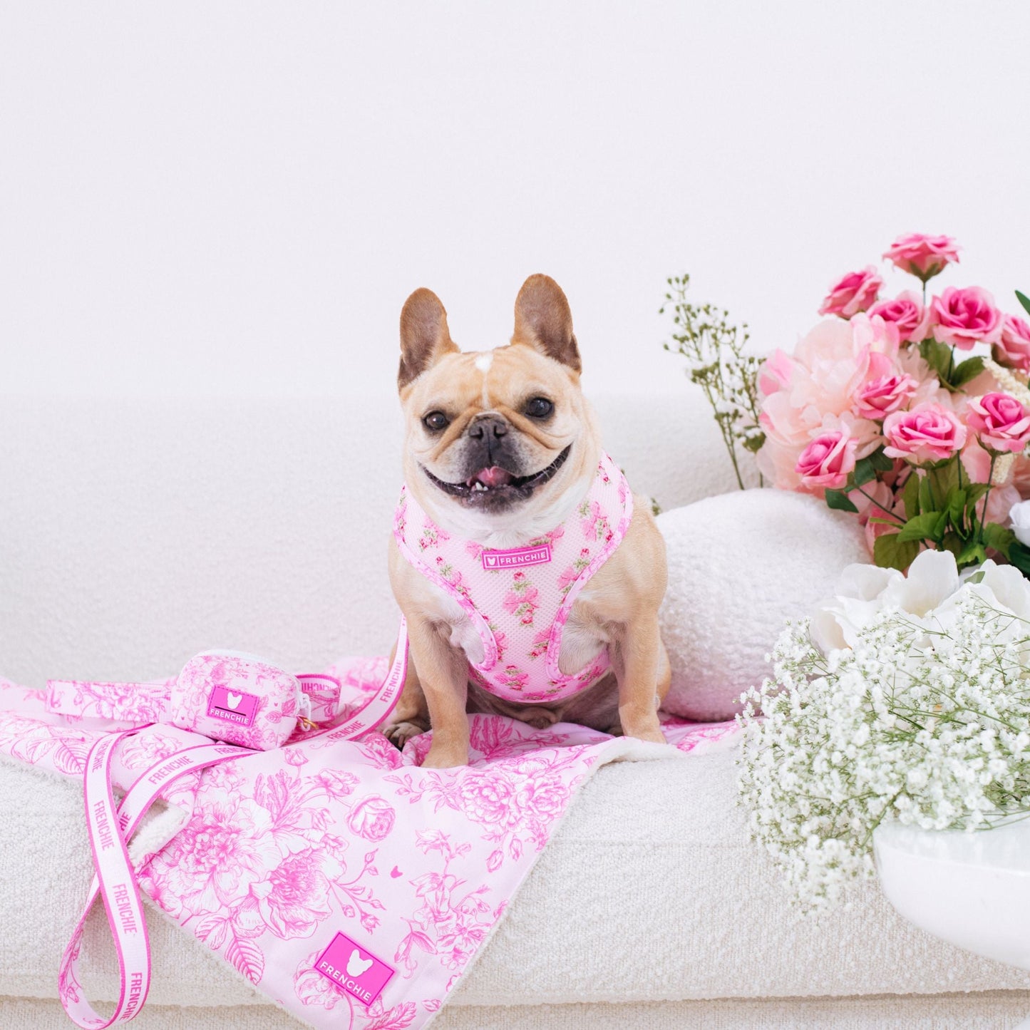 Frenchie Comfort Leash - Toile (Pink)