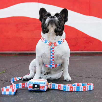 Frenchie Comfort Leash - USA