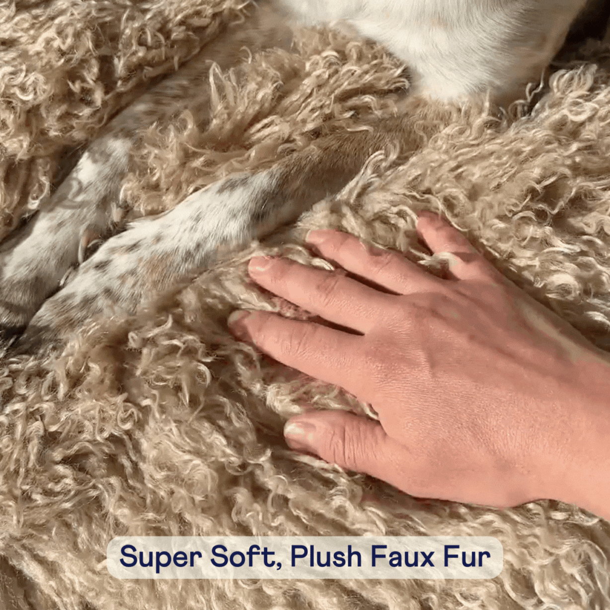 PupRug™ Luxe Faux Fur Orthopedic Dog Bed -  Plush Sheep Tan (Only the PupRug. PupProtector is sold separately)